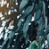 Tara Smith
